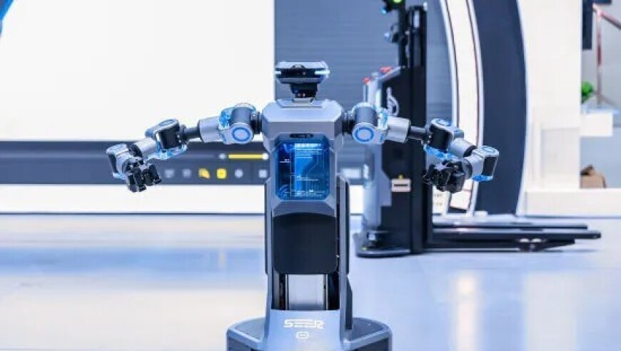 2025管家婆三肖一肖准,特殊春节彰显别样活力,精准解释落实及其象征意义_枚举版V11.69