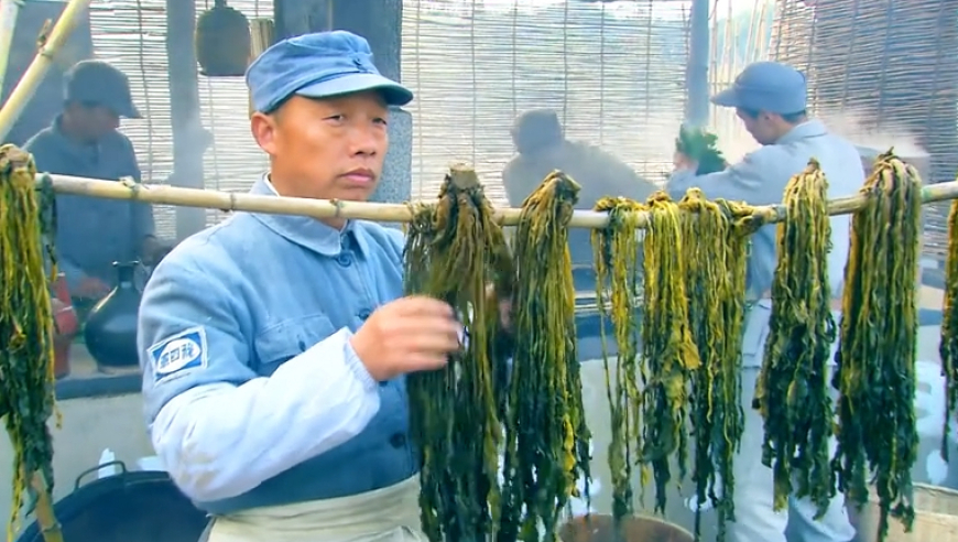 千禾味业回应酱油检出镉,123香港最快开奖现场特色,社会责任方案执行_潮流版V13.80