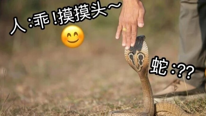 大学同学眼里的饺子导演,澳门今晚特马开奖结果出炉,确保成语解释落实的问题_正式版V12.89